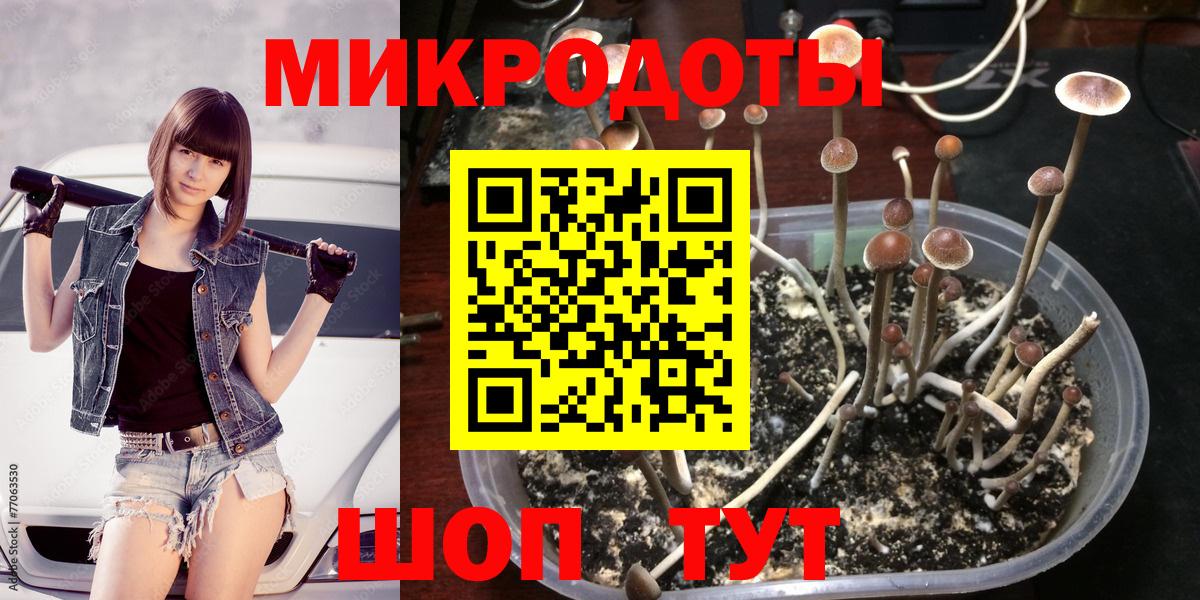 Благовещенск  Галлюциногенные грибы Cubensis  Вход с VPN 